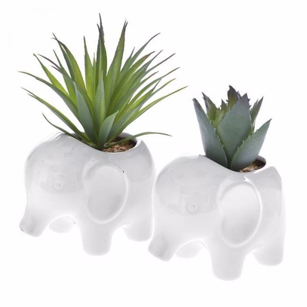 ILIADIS ΠΑΧΥΦΥΤΟ ΣΕ ΚΕΡΑΜΙΚΟ ΓΛΑΣΤΡΑΚΙ 18 ΕΚ. 2 ΣΧΕΔΙΑ